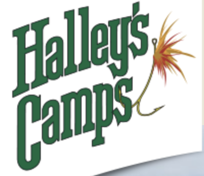 Halley's Camp