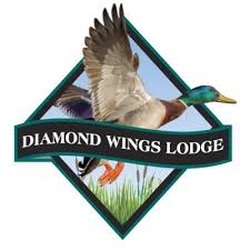 Diamond Wings Lodge