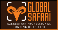 Global Safari