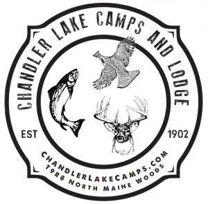 Chandler lakes