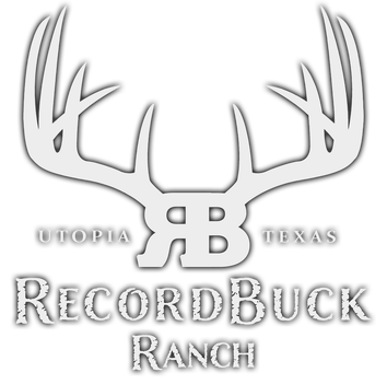 Record Buck