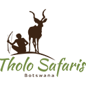 Tholo Safaris