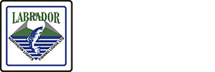 Northern Lights