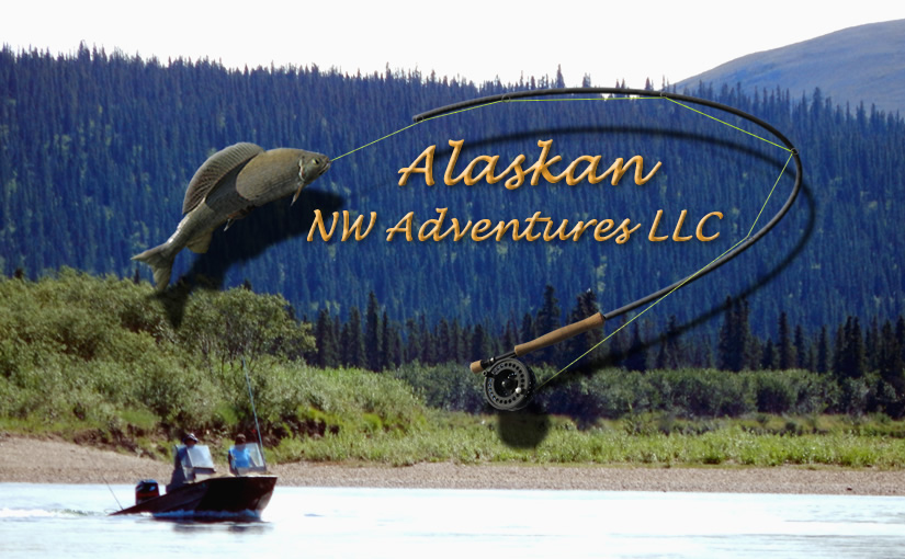 Alaskan NW Adventures