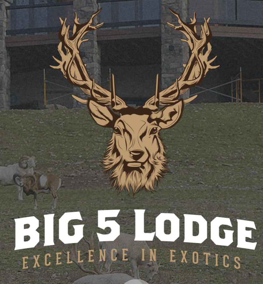 Big 5 Lodge