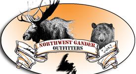 NW Gander
