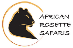African Rosette