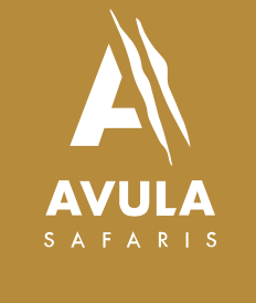 Avula