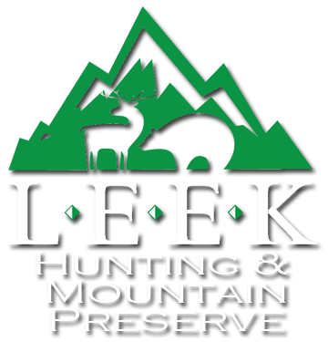 Leek