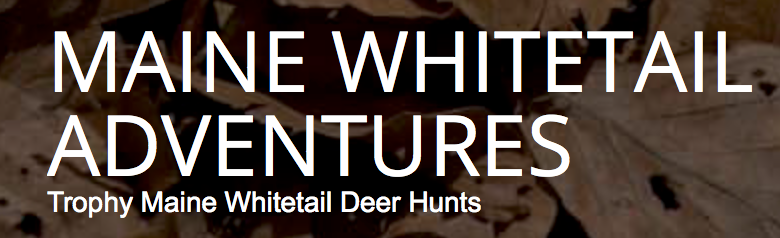 Maine Whitetail