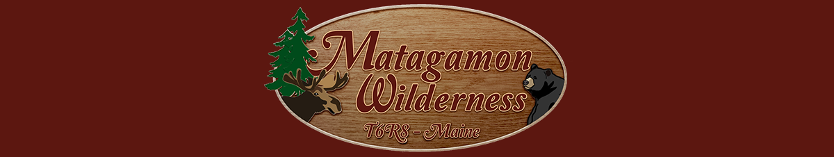 Matagamon