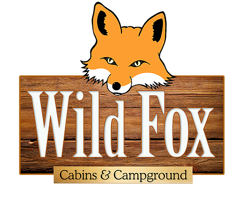 Wild Fox