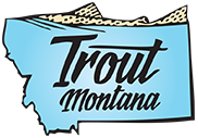 Trout Montana