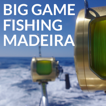 Big Game Fishing Madeira