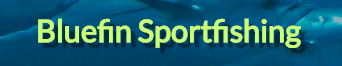 Bluefin Sportfishing Charters