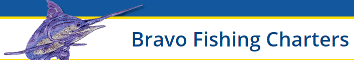 Bravo Fishing Charters