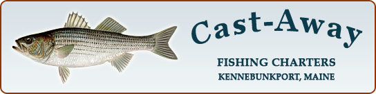Cast Away fishing charters