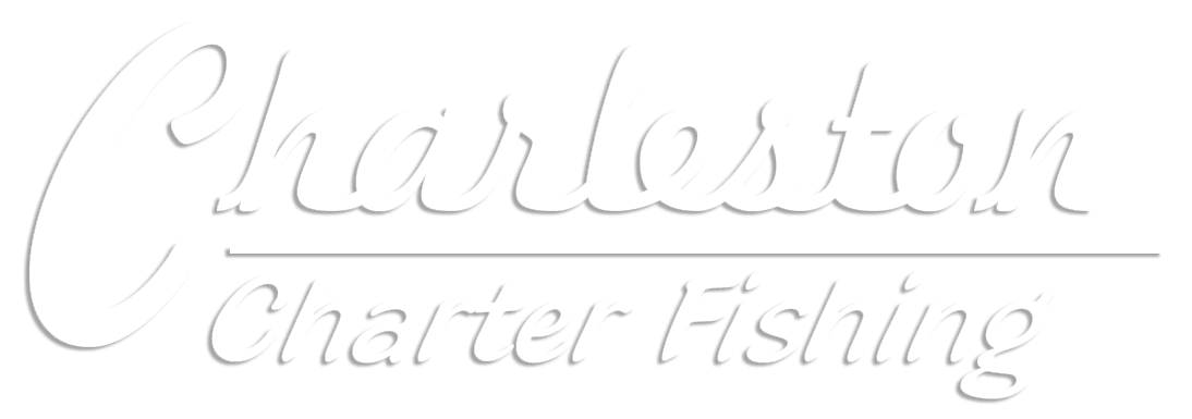 Charleston Charter Fishing
