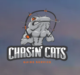 Chasin' Cats