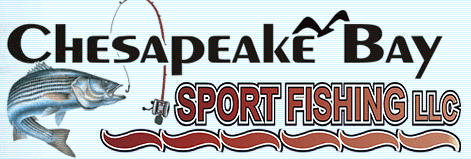 Chesapeake Bay Sport Fishing