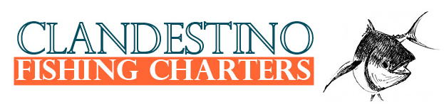 Clandestino Fishing charters