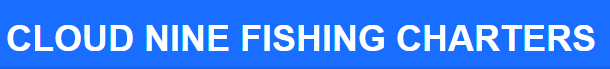 Cloud Nine Charters