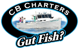 Connemara Bay Fishing Charters