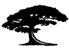 Copa de Arbol