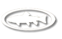 Cumberland Trout Guide
