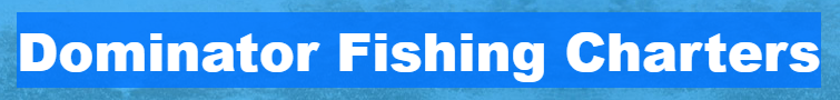 Dominator Fishing Charters