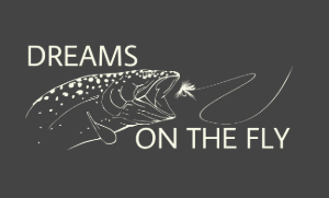 Dreams On the Fly