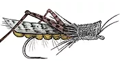 El Saltamontes Lodge