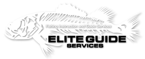 Elite Guide Services