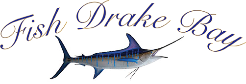 Fish Drake Bay