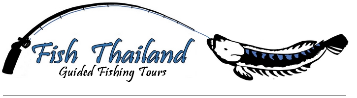 Fish Thailand
