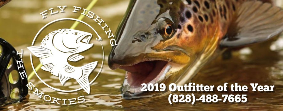 Fly Fishing the Smokies