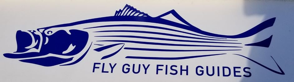 Fly Guy Fish Guides