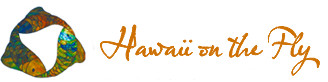 Hawaii On The Fly