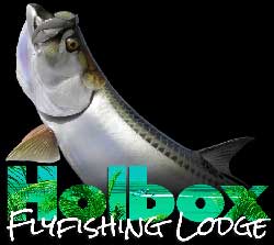 Holbox Fly Fishing Lodge