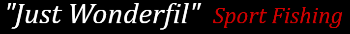 Just Wonderfil Charters