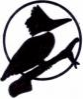 King Fisher Guide Service