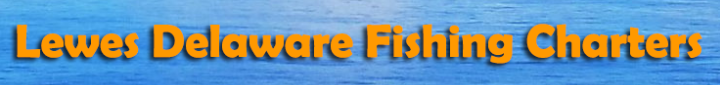 Lewes Delaware Fishing Charters