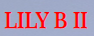 Lily B II Fishing Charters