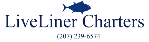 LiveLiner Charters