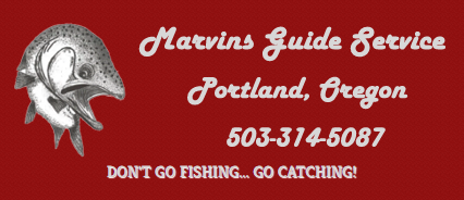 Marvin's Guide Service