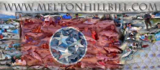Melton Hill Bill Fishing Guide Service