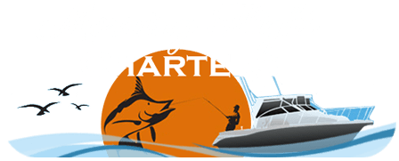 Morning Flight Charters