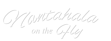 Nantahala On The Fly Fishing