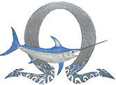 Omega Fishing Charters