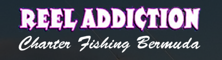 Reel Addiction Charters